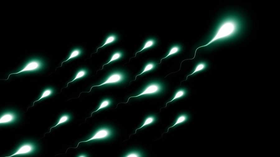история спермы