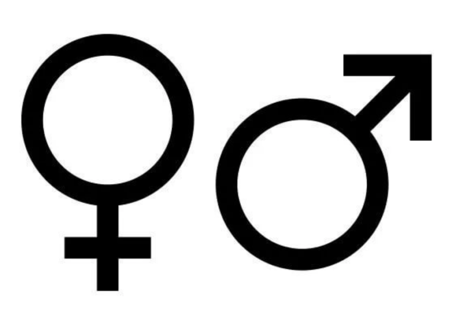 гендеры значки