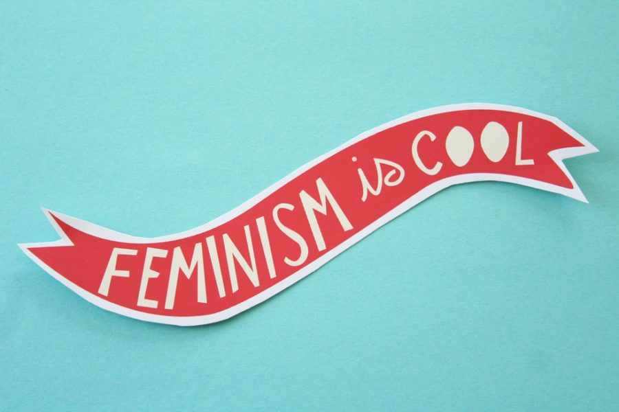 Феминизм до первого достойного
