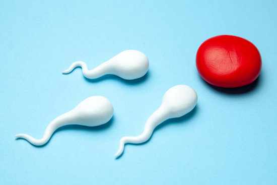 что нужно знать о мужской сперме