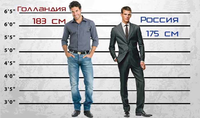 мужчины выше женщин