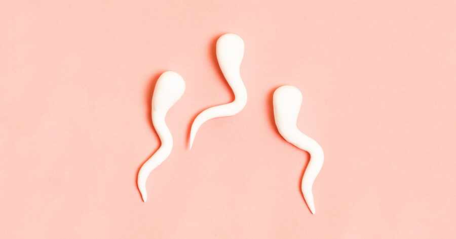 три сперматозоида