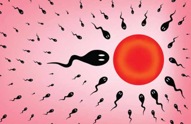 состав мужской спермы