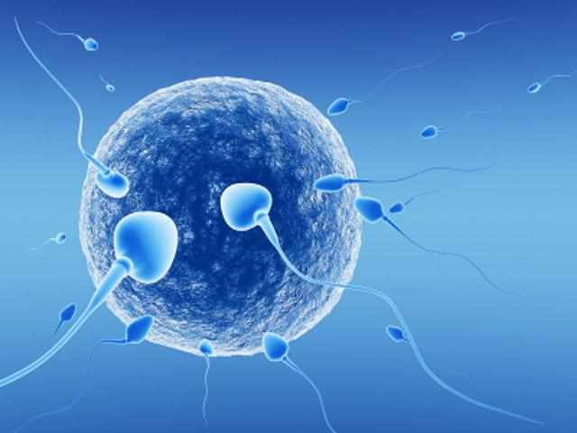 донорство спермы